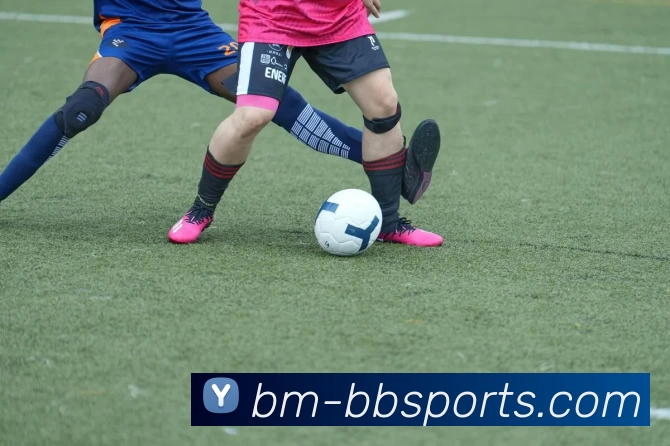 App Interface Preview